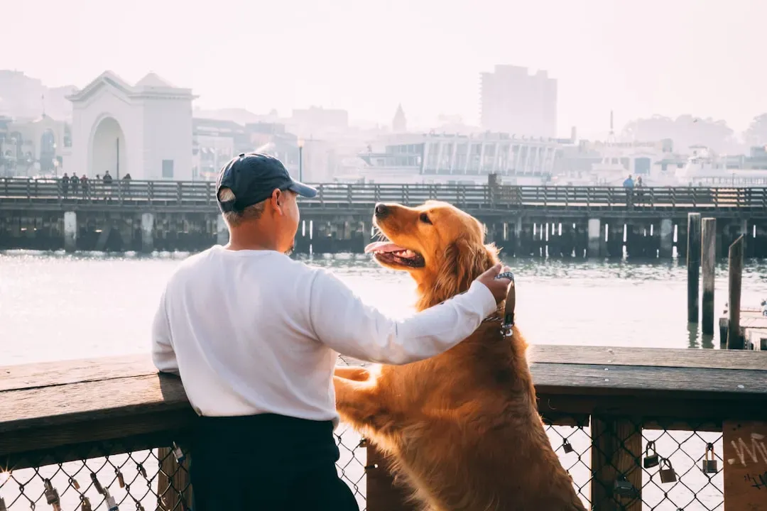 They Offer Slow, Gentle Check‑Ins (Image Credits: Unsplash)