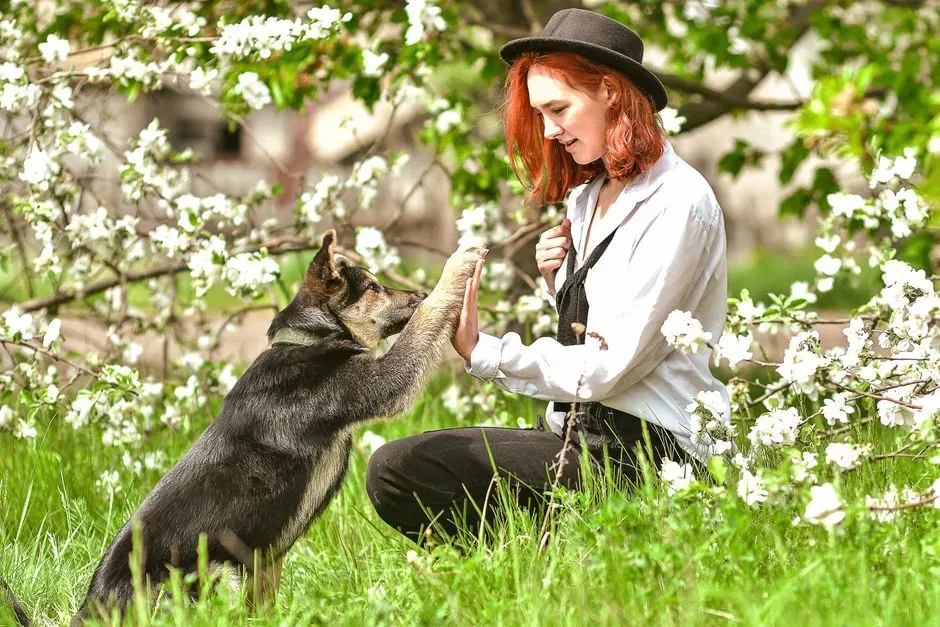 #9 - The Way They "Audit" New Dogs, and Are Usually Right (Image Credits: Pexels)