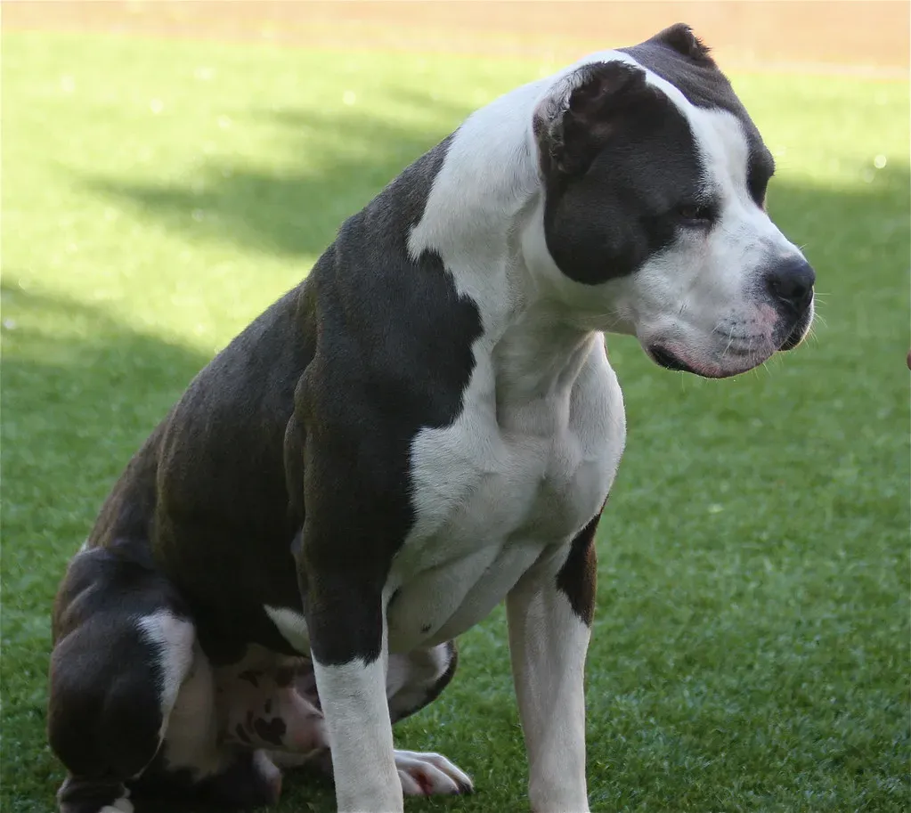 Natural Death Versus Euthanasia (Image Credits: Flickr)