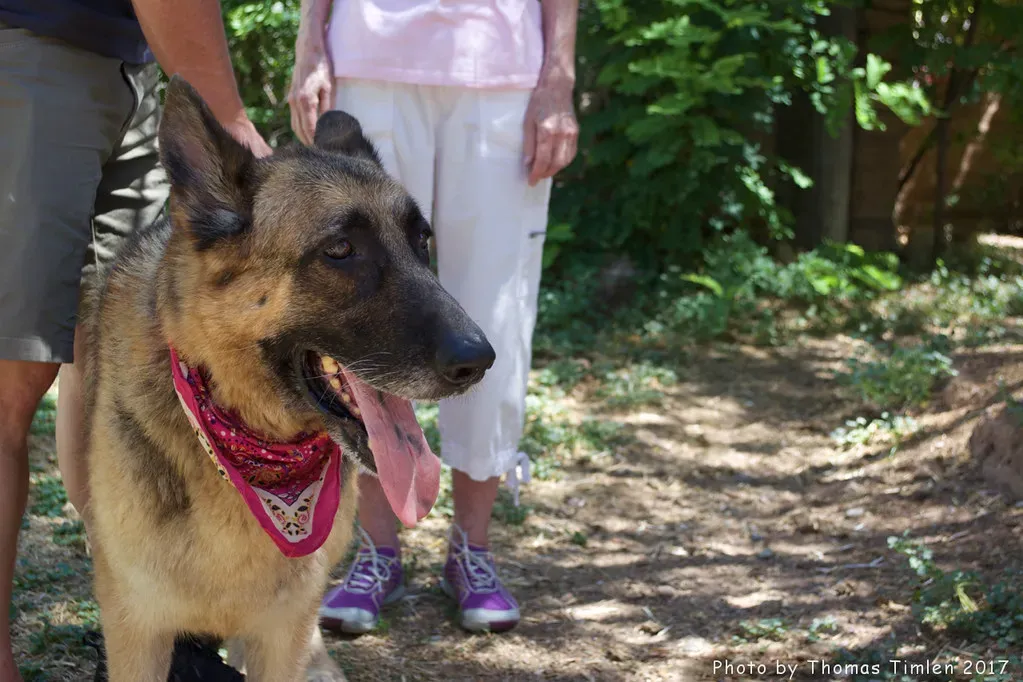 Conclusion: The Everyday Gift You Might Be Underestimating (Image Credits: Flickr)