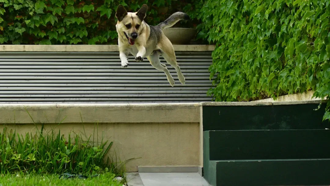 Mobility and Physical Limitations May Require Adjustments (Image Credits: Unsplash)