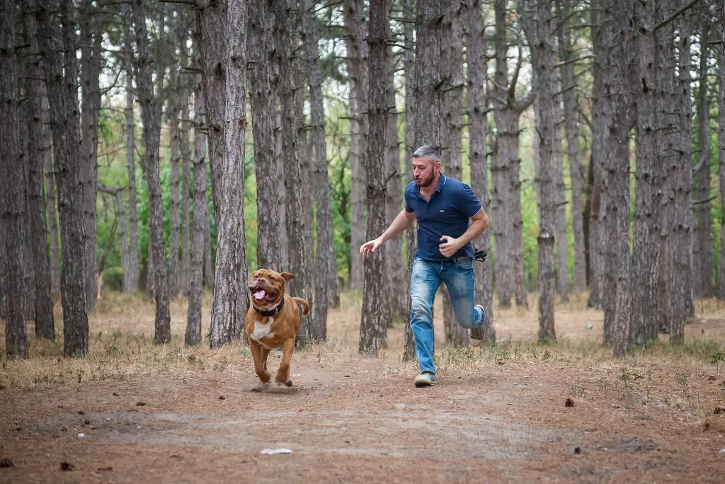 Conclusion: A Name That Grows With Your Dog (Andrey Shkvarchuk, Flickr, CC BY-SA 2.0)