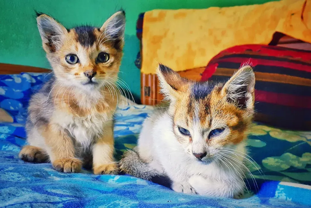 Age Matters More Than You'd Think (Image Credits: Unsplash)