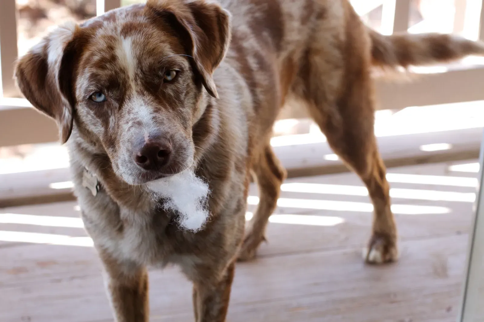 Punishing Destructive Behavior After the Fact (Image Credits: Wikimedia)