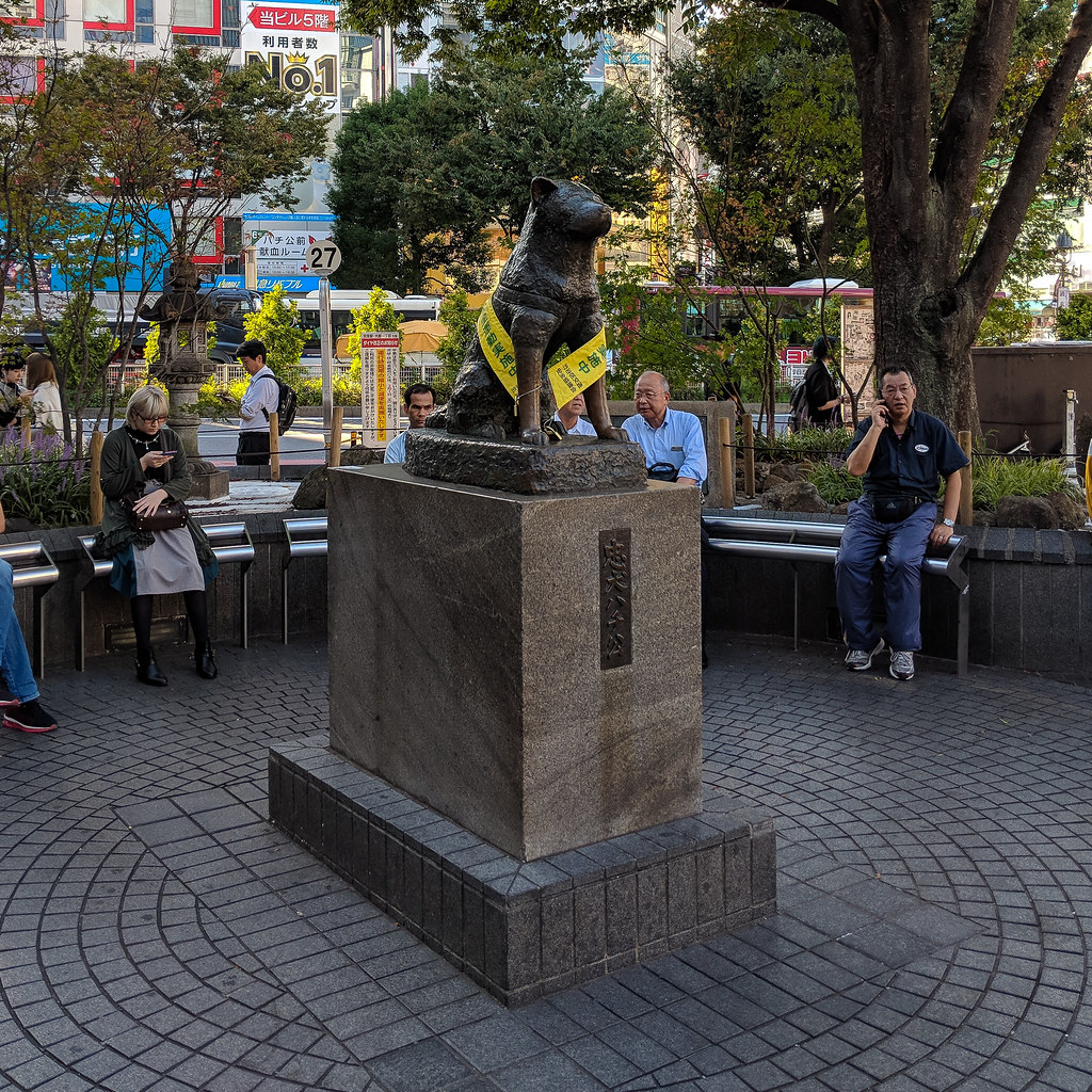 Hachiko: Ten Years of Faithful Waiting (Image Credits: Flickr)