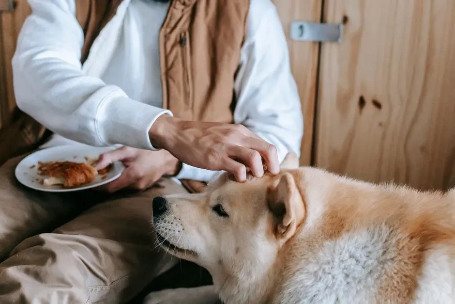 Research Findings: Stroking Dogs Elevates Oxytocin and Reduces Cortisol (Image Credits: Pexels)