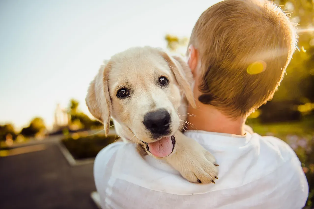 2. Their Body Softens Around You - Not Just Their Tail (Image Credits: Pixabay)