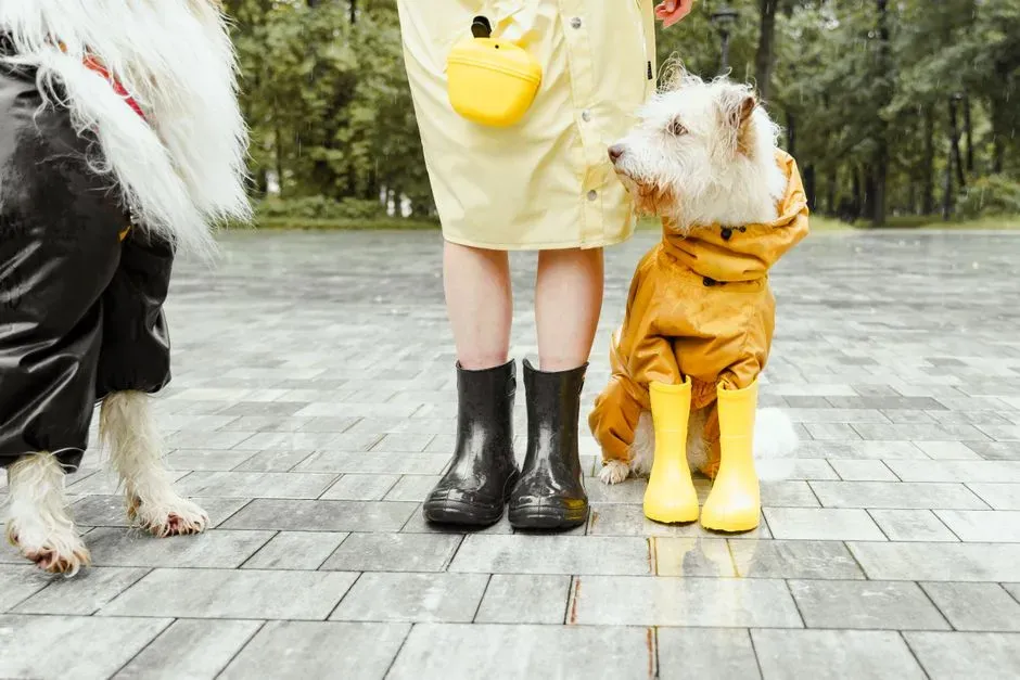 Why Seasonal Awareness Changes the Outcome (Image Credits: Pexels)