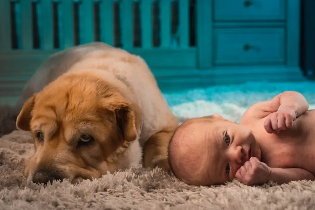 #5: Baby Gear Is Designed With Pets In Mind (Image Credits: Unsplash)