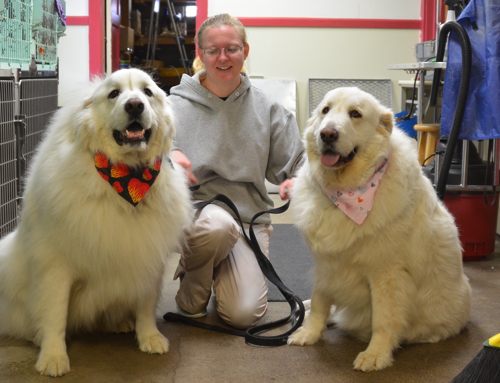 Recognizing the Signs of Being the Chosen One (Image Credits: Flickr)