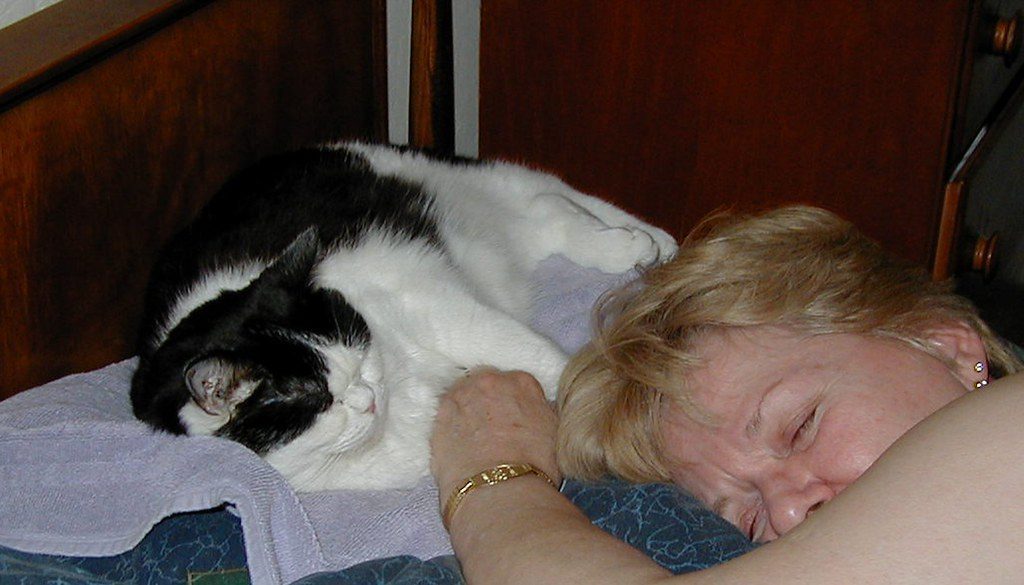 Sleeping Next to You or On Your Feet (Image Credits: Flickr)