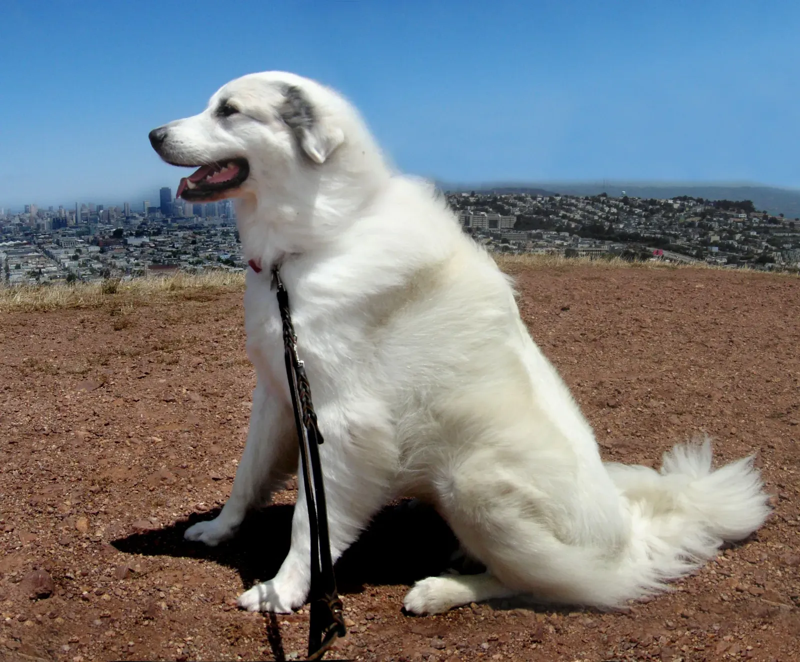#7 - Reading Rough Terrain Like a Four-Legged Tractor (nesca, CC BY 2.0)
