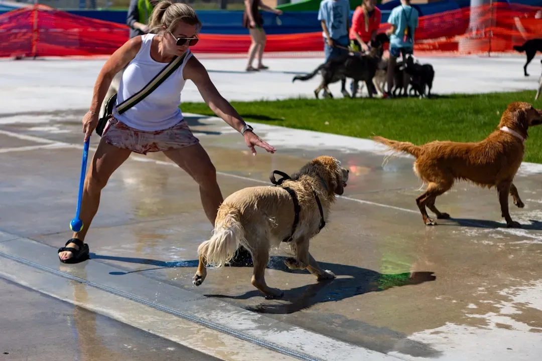 Getting Started: Practical Tips to Make It Work (Image Credits: Unsplash)