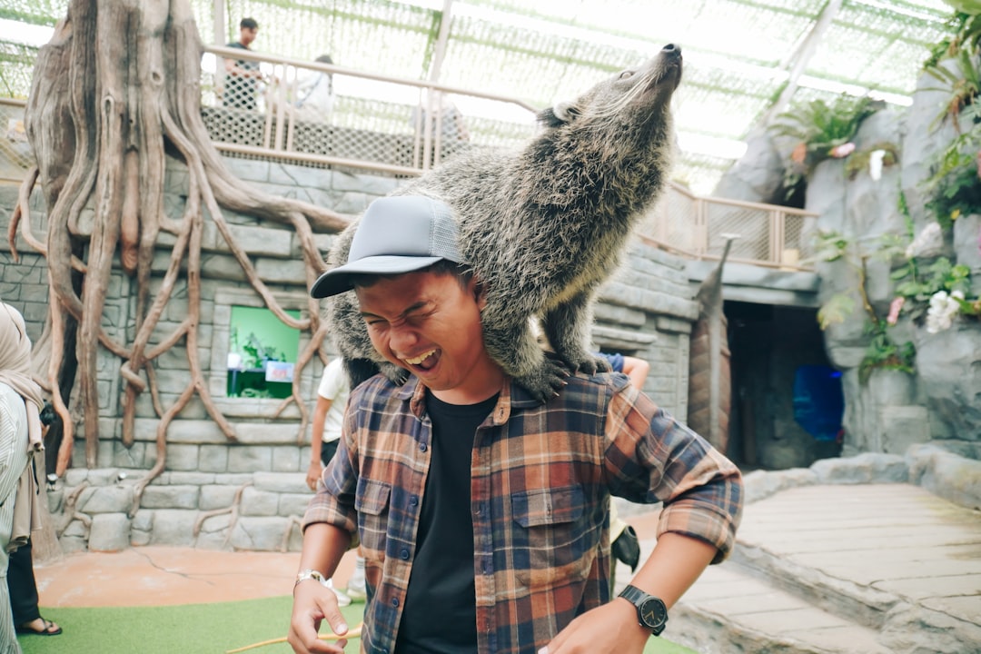 The Science Behind Non-Verbal Animal Communication (Image Credits: Unsplash)