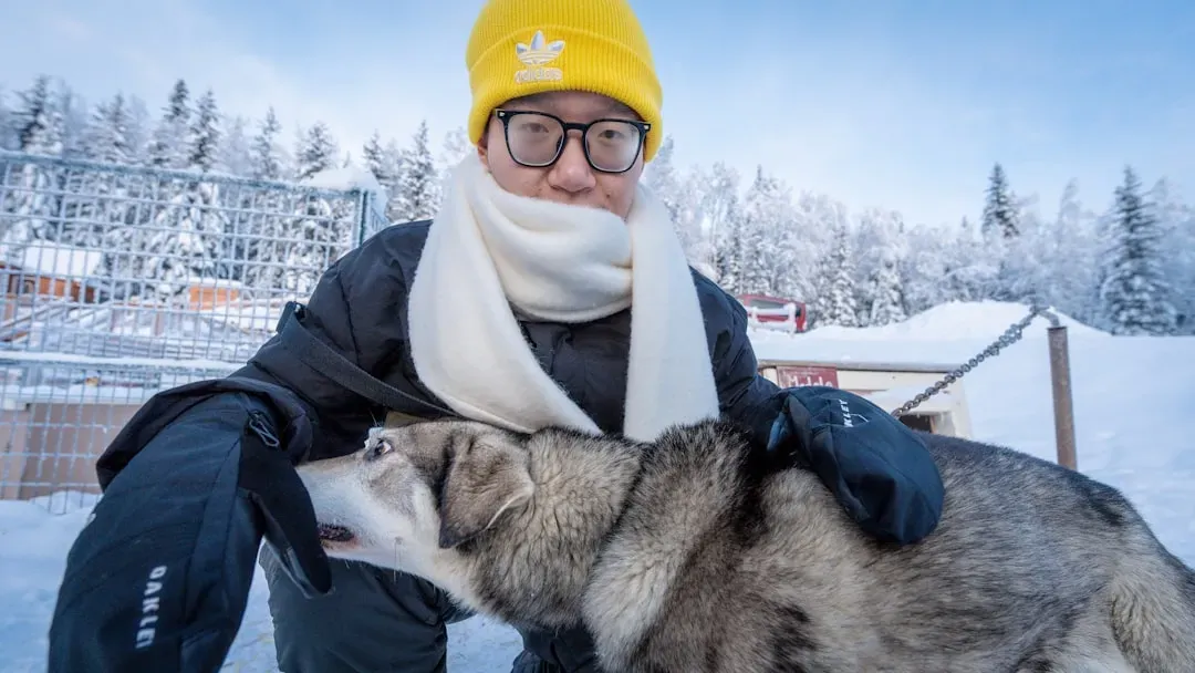 Now, 5 Breeds That Don't Belong in Alaska's Cold (Image Credits: Unsplash)