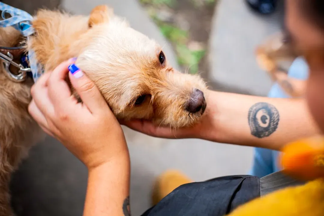 Introduction (Image Credits: Unsplash)