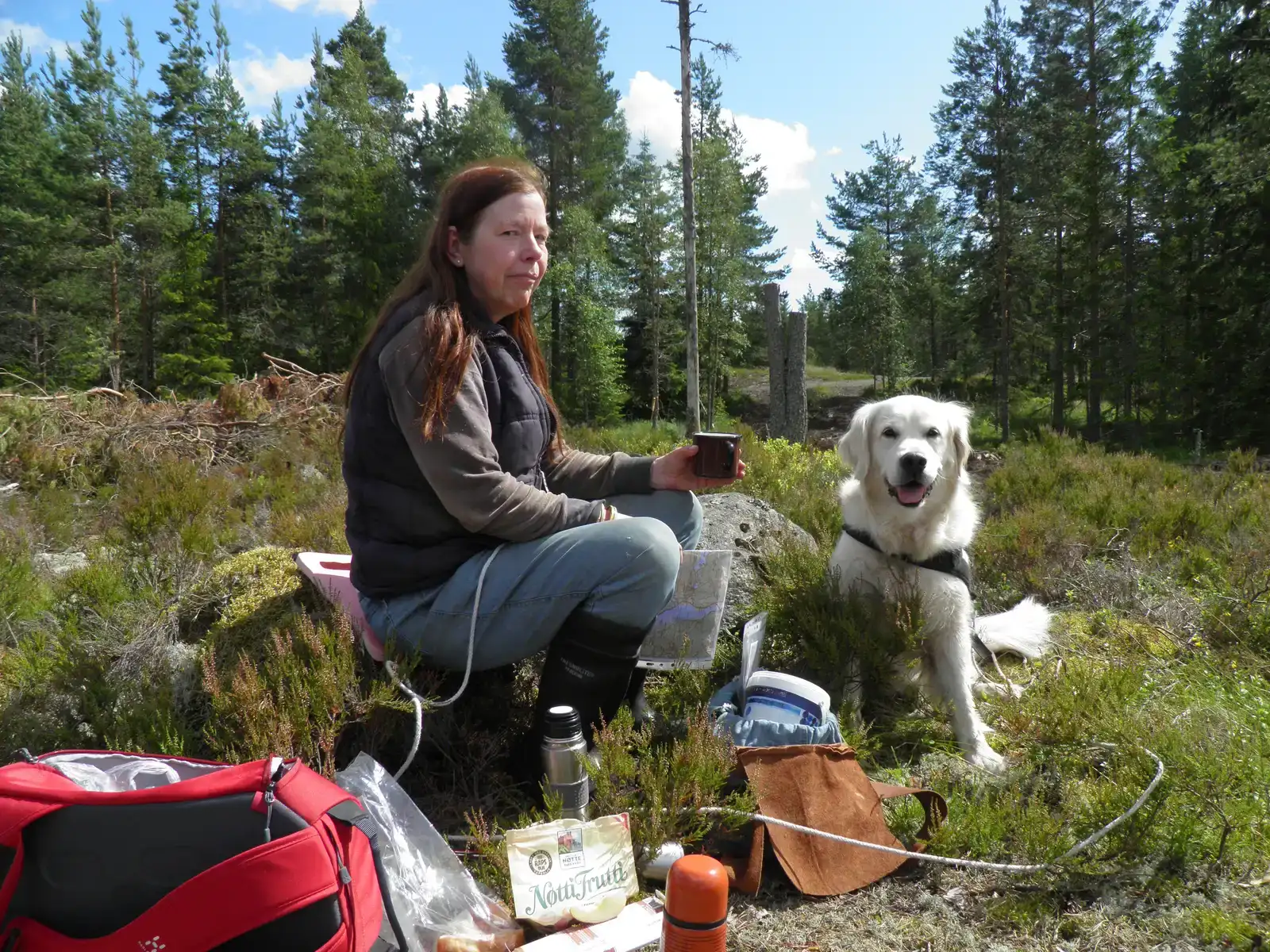 Aries: The Energetic Trailblazer (By Susann Schweden, CC BY-SA 4.0)
