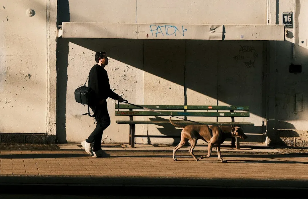 They Give Your Days Structure and Purpose (Image Credits: Unsplash)