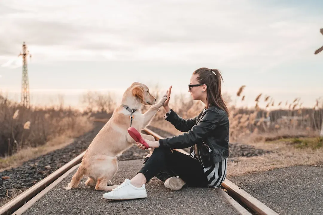 Behavioral Cues That Show Your Dog Is Mirroring You (Image Credits: Unsplash)