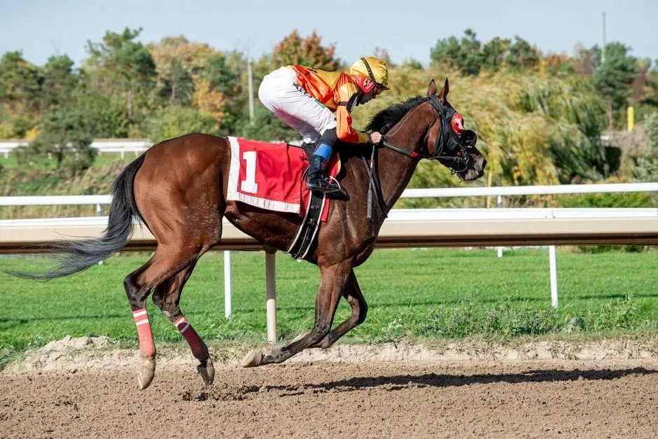 1. Thoroughbred: The High-Performance Money Pit (Image Credits: Pexels)