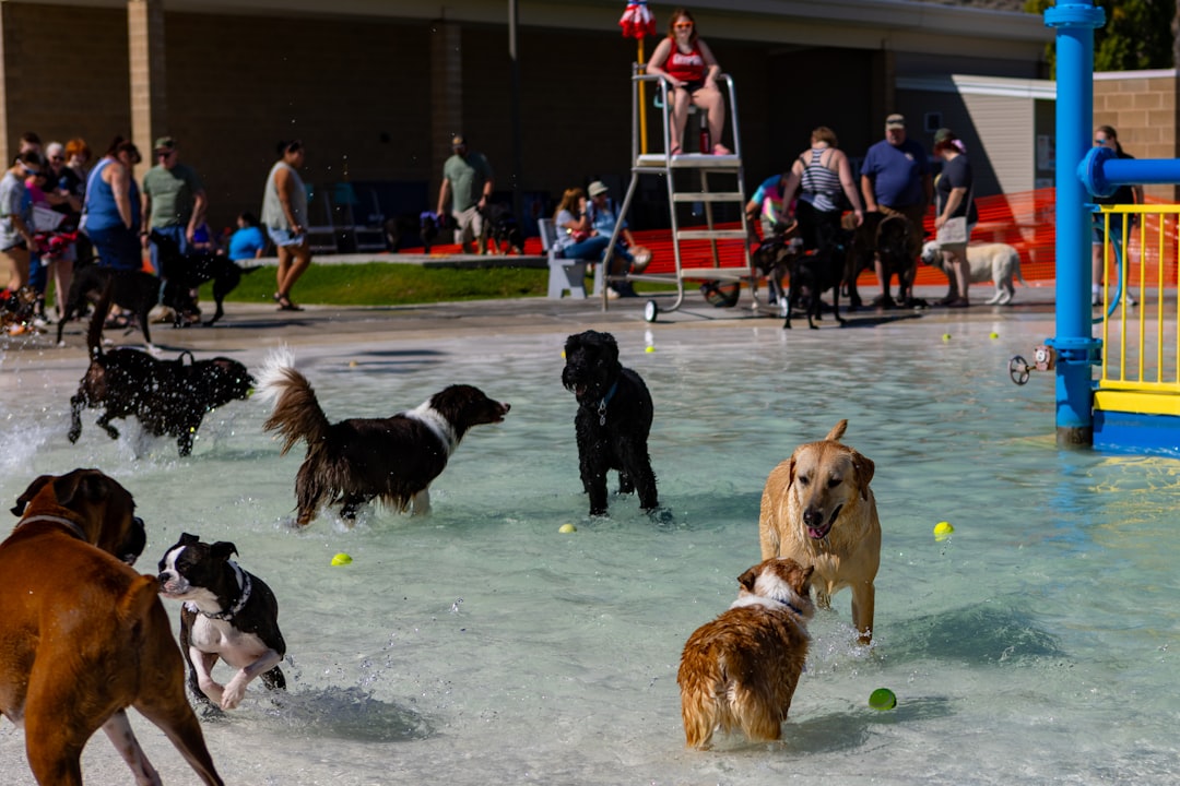 Socialization and Behavioral Development (Image Credits: Unsplash)