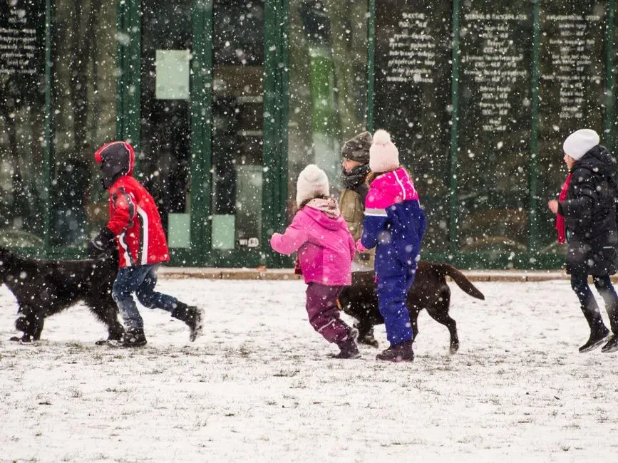 Joy Found In Simple Moments (Image Credits: Pexels)