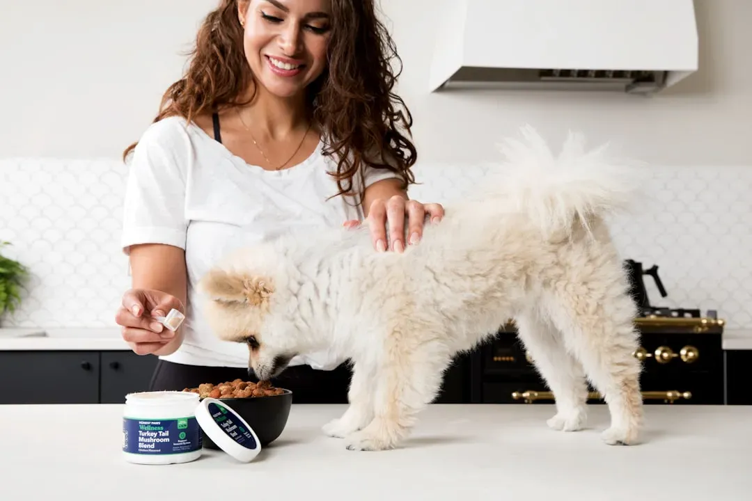 Myth 3: Older Dogs Need Less Protein in Their Diet (Image Credits: Unsplash)