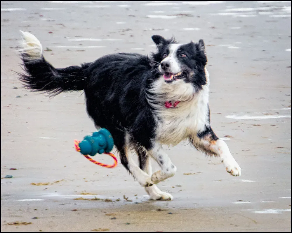 Conclusion: Listen to What They're Telling You (Image Credits: Flickr)