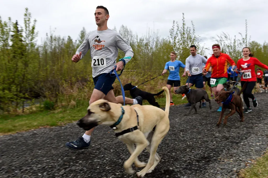 Support Their Joints Before Pain Takes Over (Image Credits: Flickr)