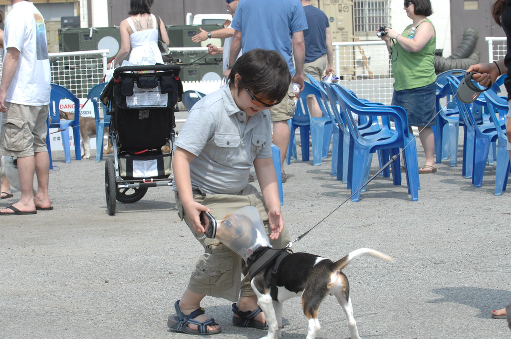 You Encounter Dogs That Remind You Strikingly of Them (Image Credits: Flickr)