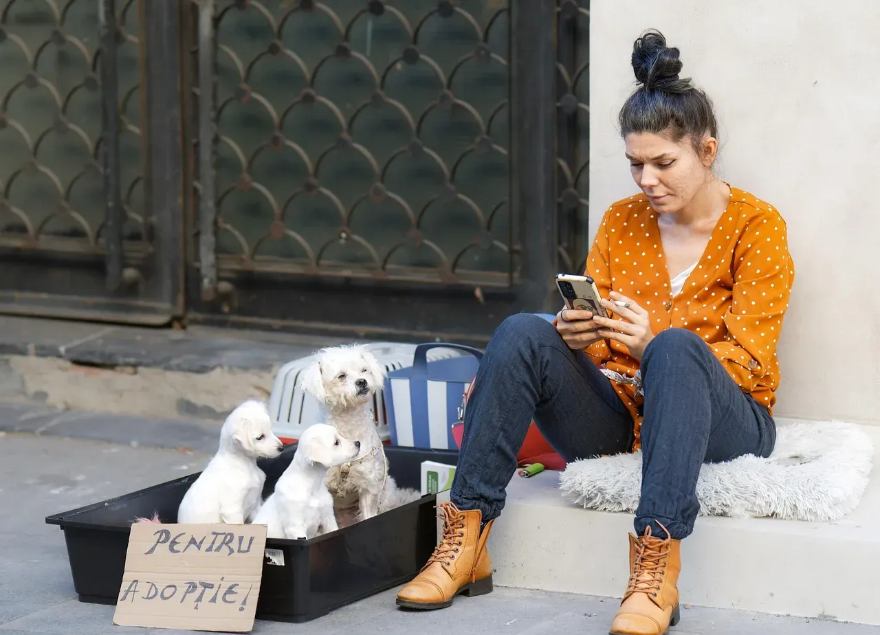 The 3-3-3 Rule Is Your Roadmap (Image Credits: Pixabay)