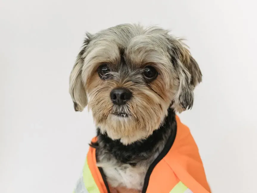 #9: Use a Pressure Wrap or Anxiety Vest (Image Credits: Pexels)