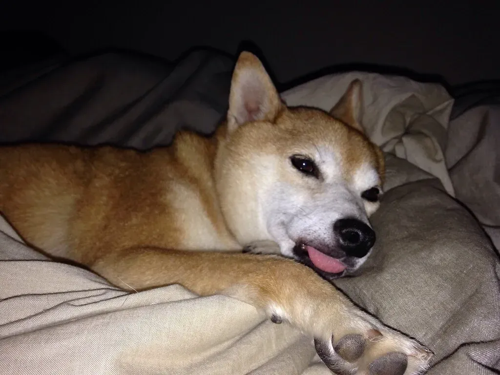 #8 - Constant Interruptions to Sleep Schedules (_tar0_, Flickr, CC BY 2.0)