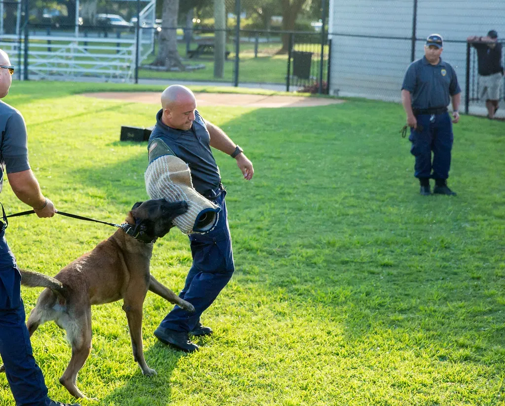 10. You Become Part of a Community That Genuinely Cares (North Charleston, Flickr, CC BY-SA 2.0)