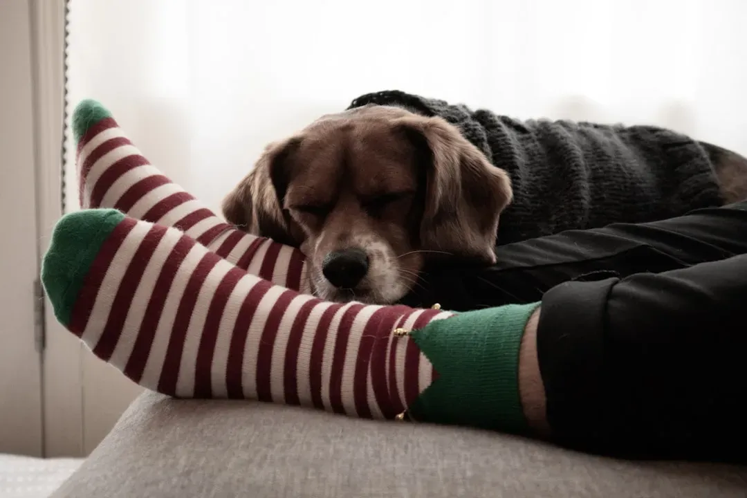 Your Clothes and Laundry: Portable Comfort Objects (Image Credits: Unsplash)