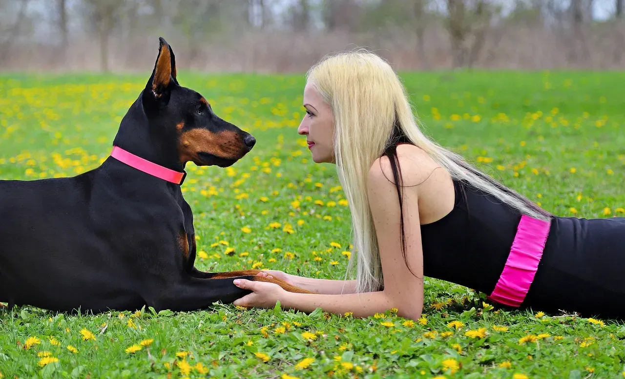#4. Doberman Pinscher (Image Credits: Pixabay)
