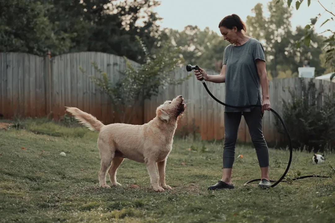 Aries: The High-Energy Dog-Centered Doer (Image Credits: Unsplash)