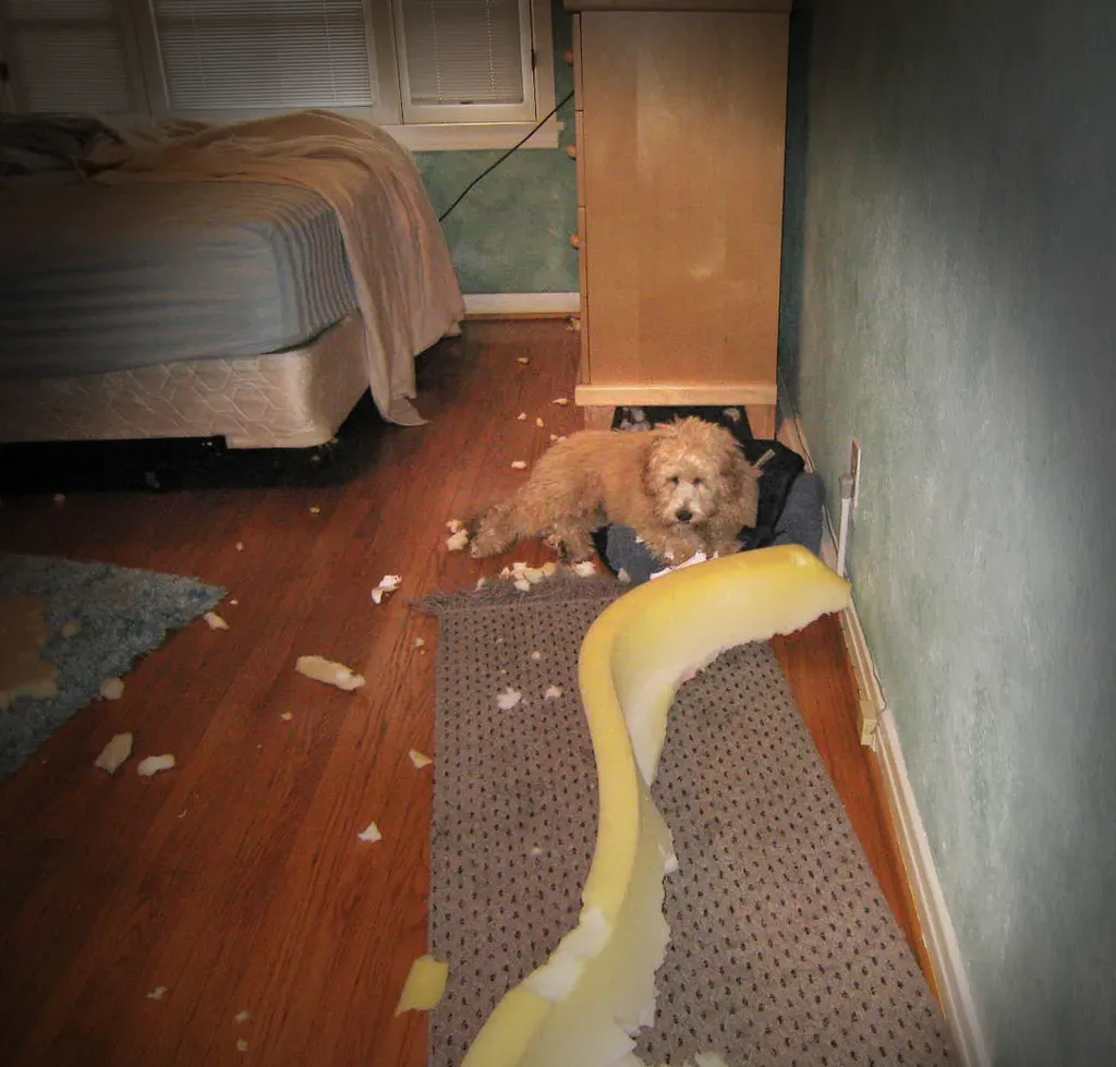 The Hidden Language Behind the Destruction (Image Credits: Flickr)