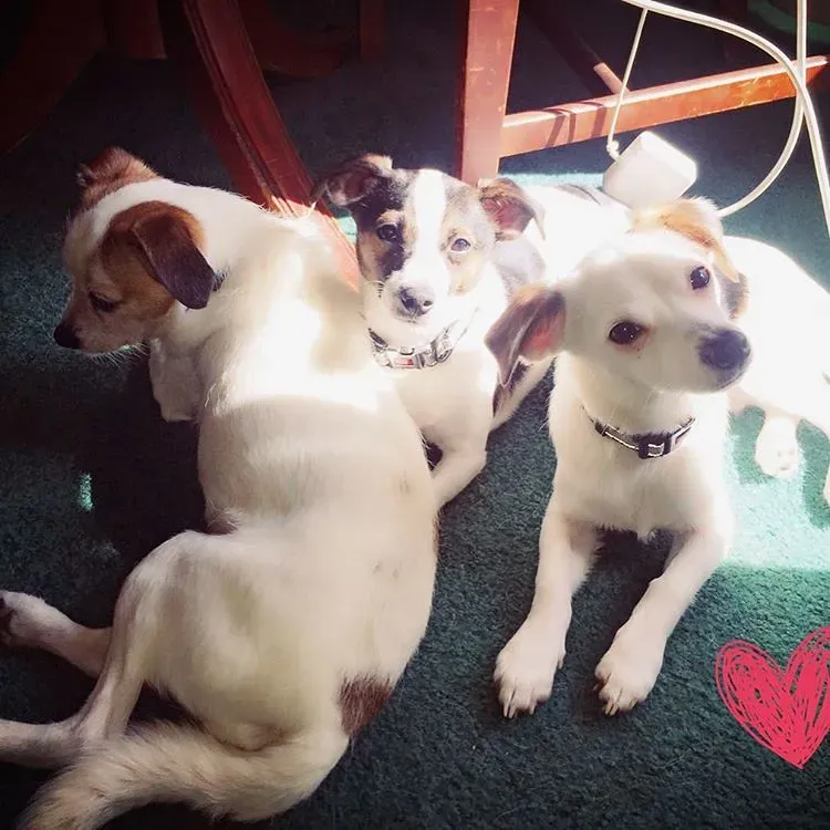 Supporting Her Through the Transition (Image Credits: Flickr)