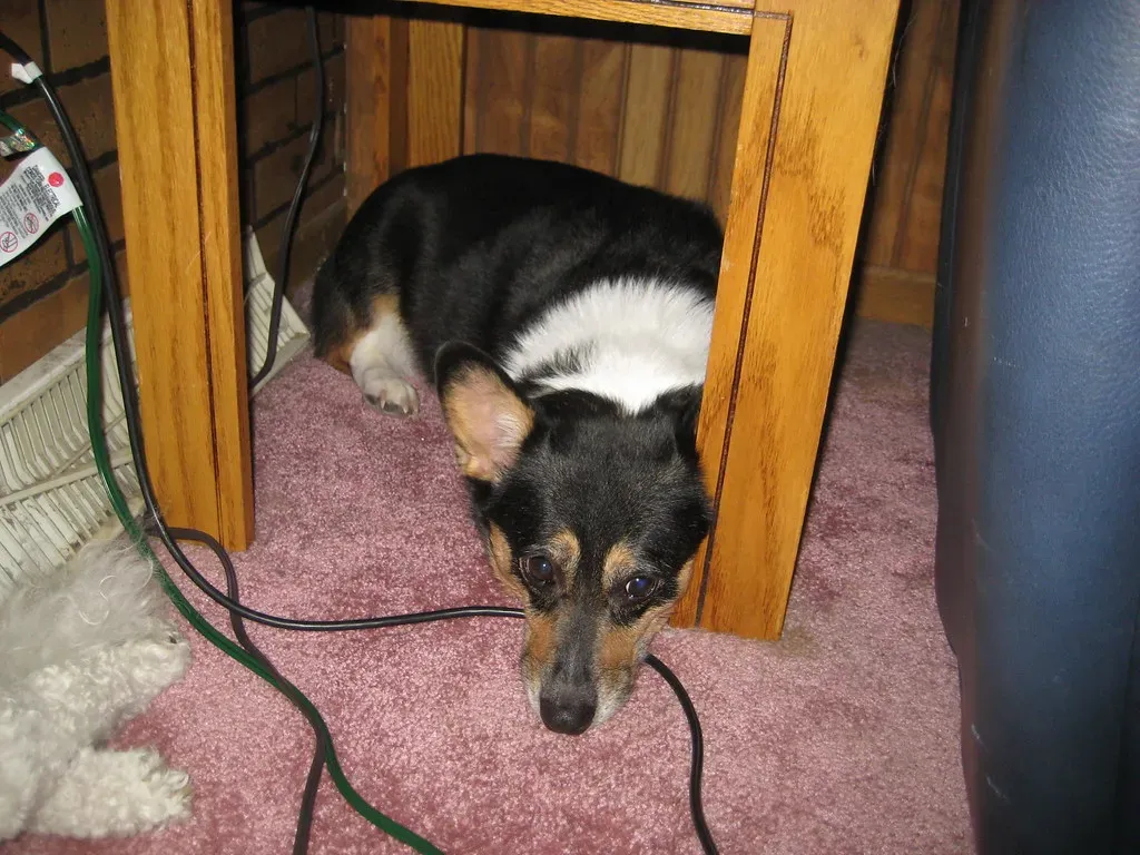 Conclusion (Image Credits: Flickr)