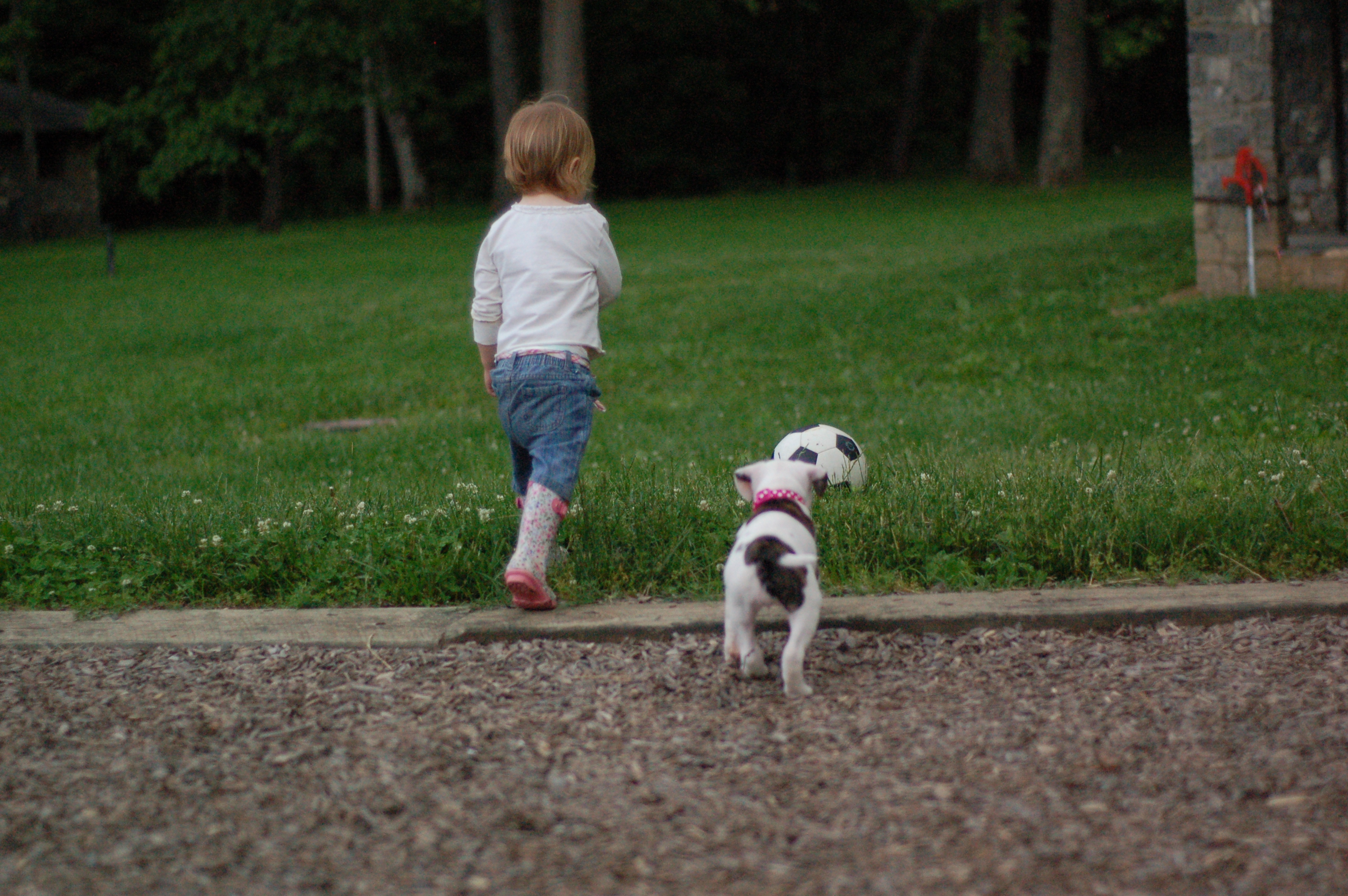 Early Life Experiences Shape Everything (Image Credits: Wikimedia)