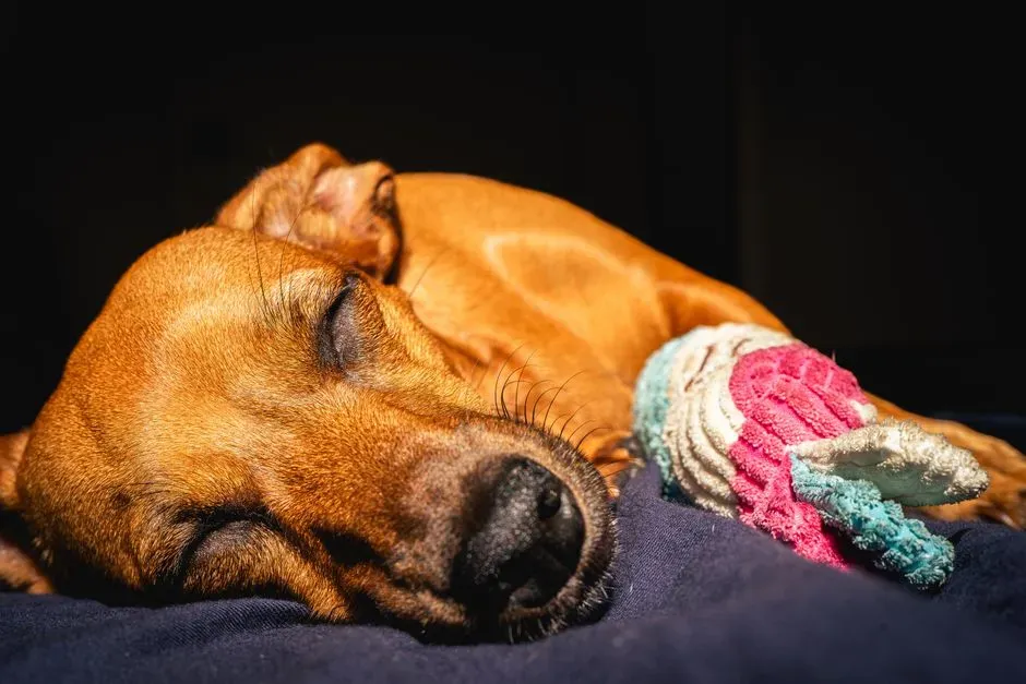 #1 – Ending Every Night With the Same Good-Night Ritual (Image Credits: Pexels)