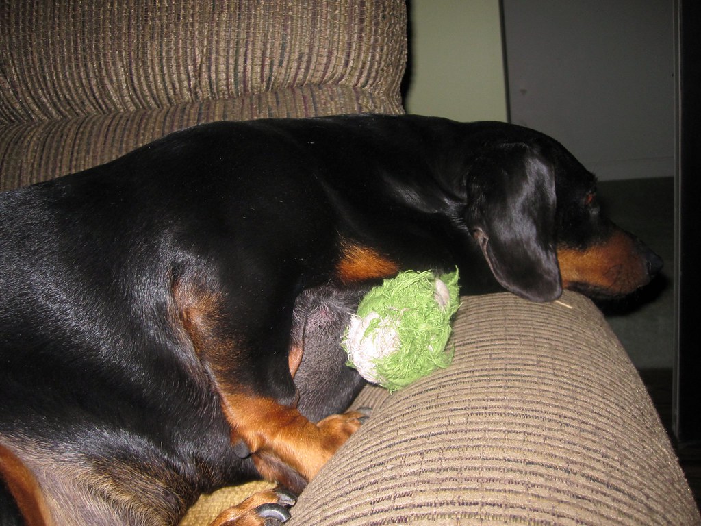 Protecting Treasures from Competition (Image Credits: Flickr)