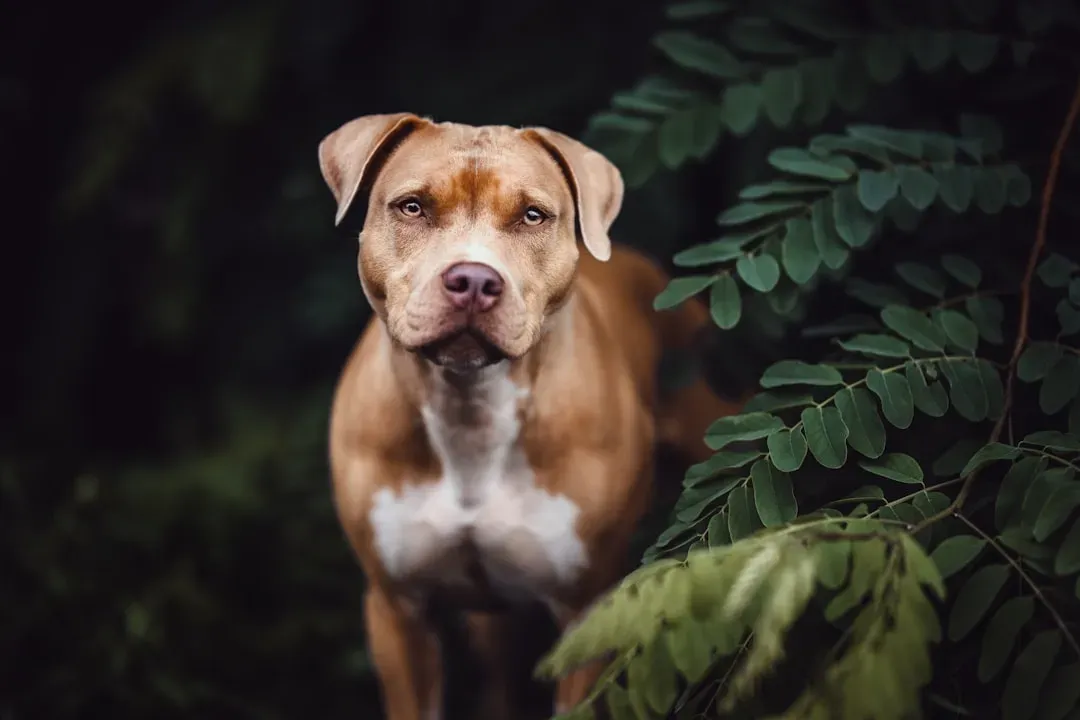 #10. Capricorn: The Responsible Owner Who Prepares for Every Scenario (Image Credits: Unsplash)