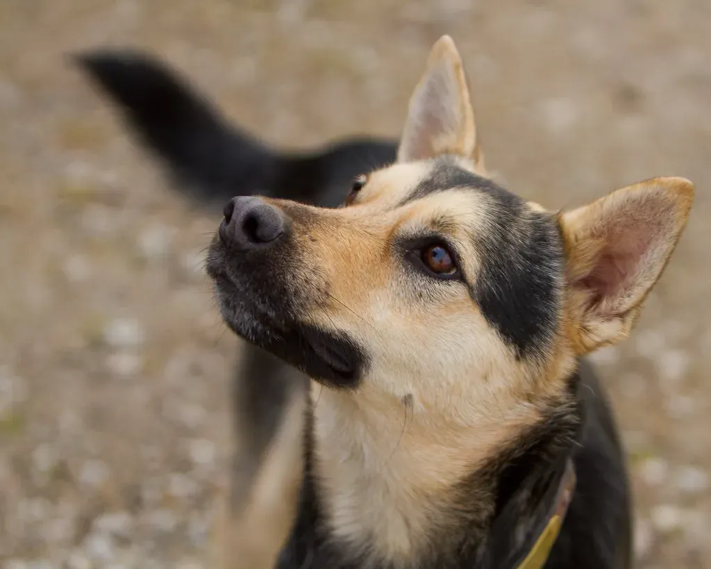 Conclusion (Image Credits: Flickr)