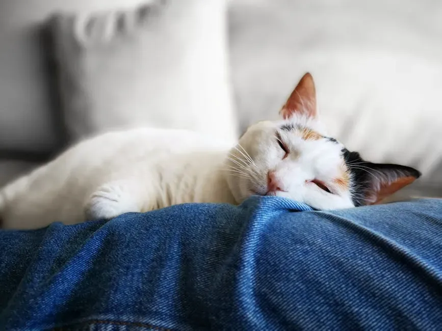 Sleeping on or Beside You (Image Credits: Pexels)