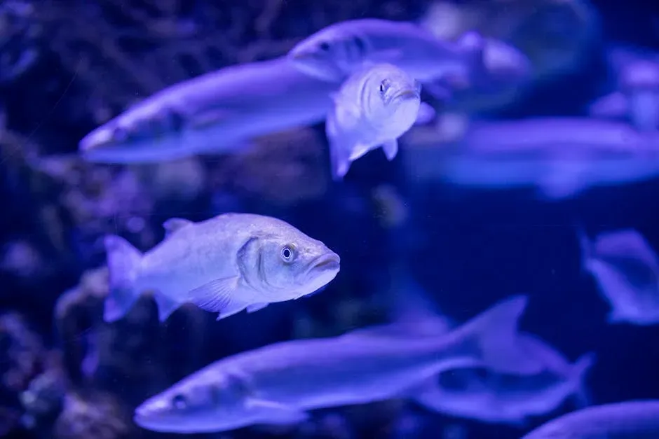 5. Whitefish (Including Haddock and Pollock): Lean, Clean, and Easy to Love (Image Credits: Pexels)