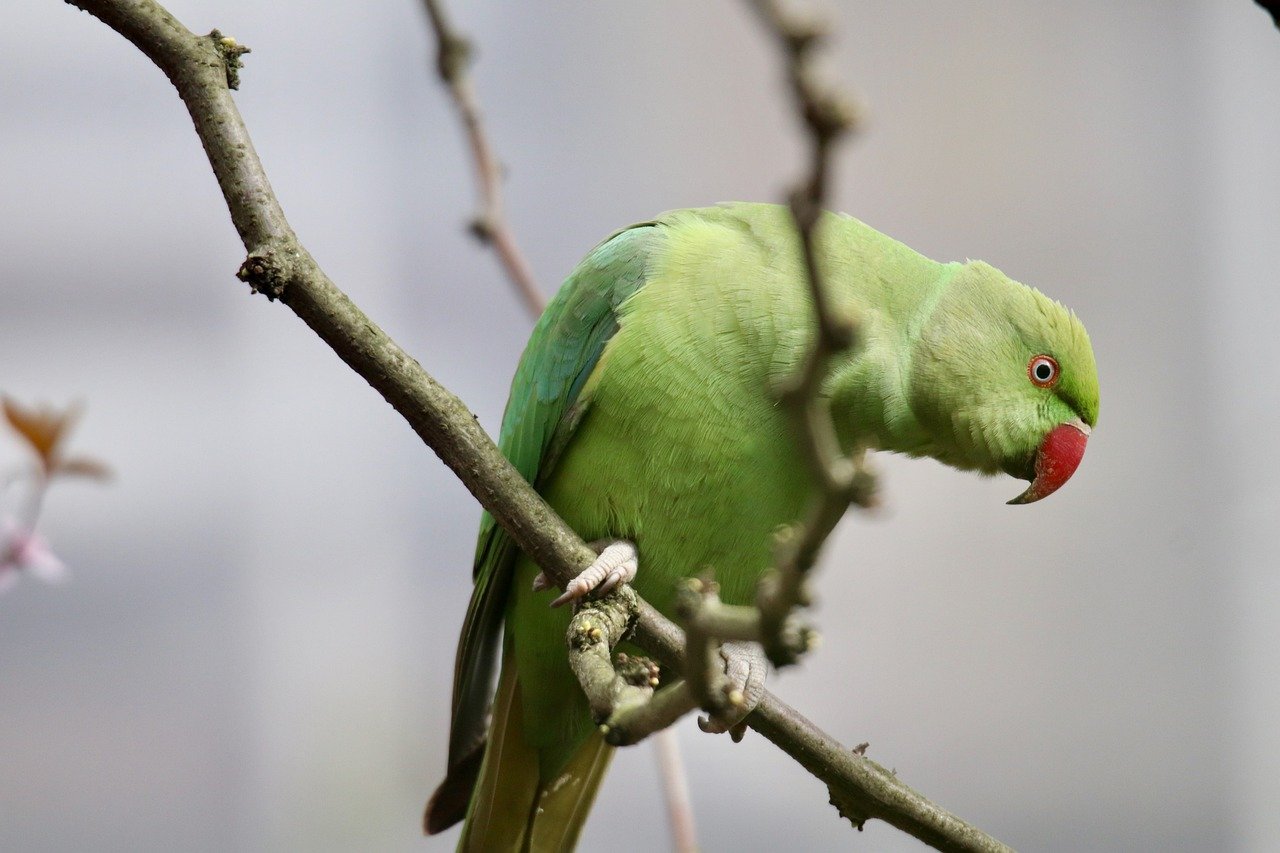 #6: Aquarius (Image Credits: Pixabay)