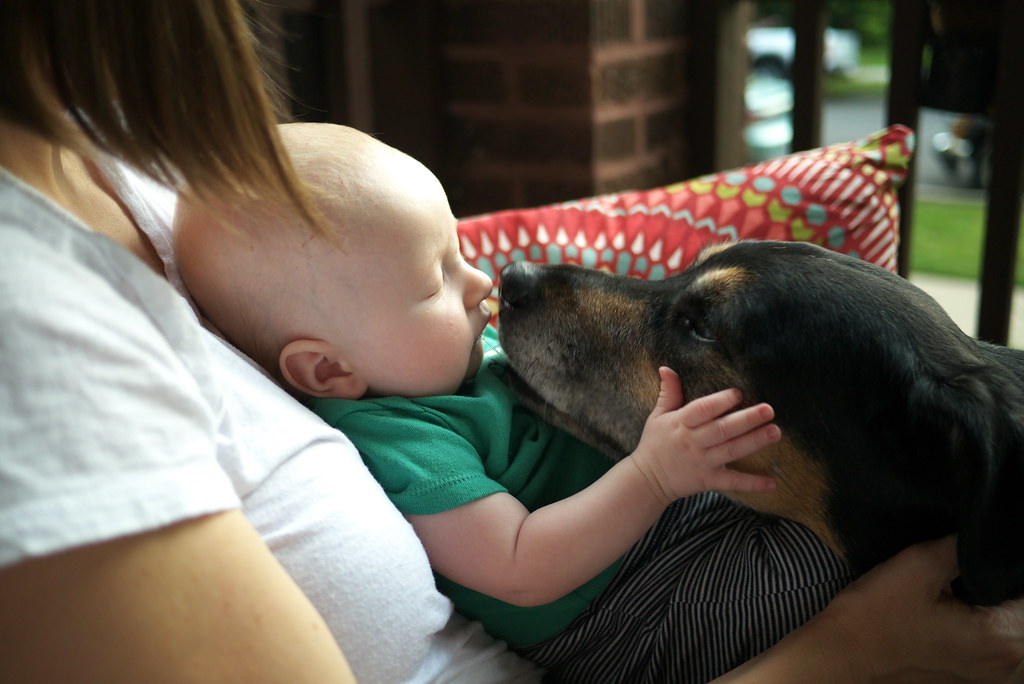 When Baby Faces Are Most Vulnerable (Image Credits: Flickr)