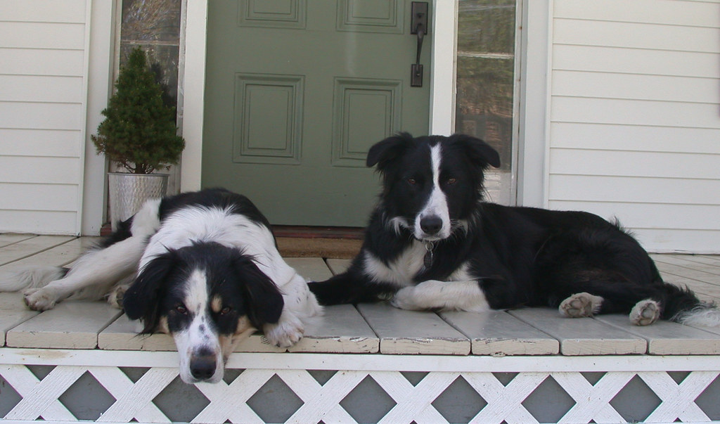 Health Issues Require Expert Navigation (Image Credits: Flickr)